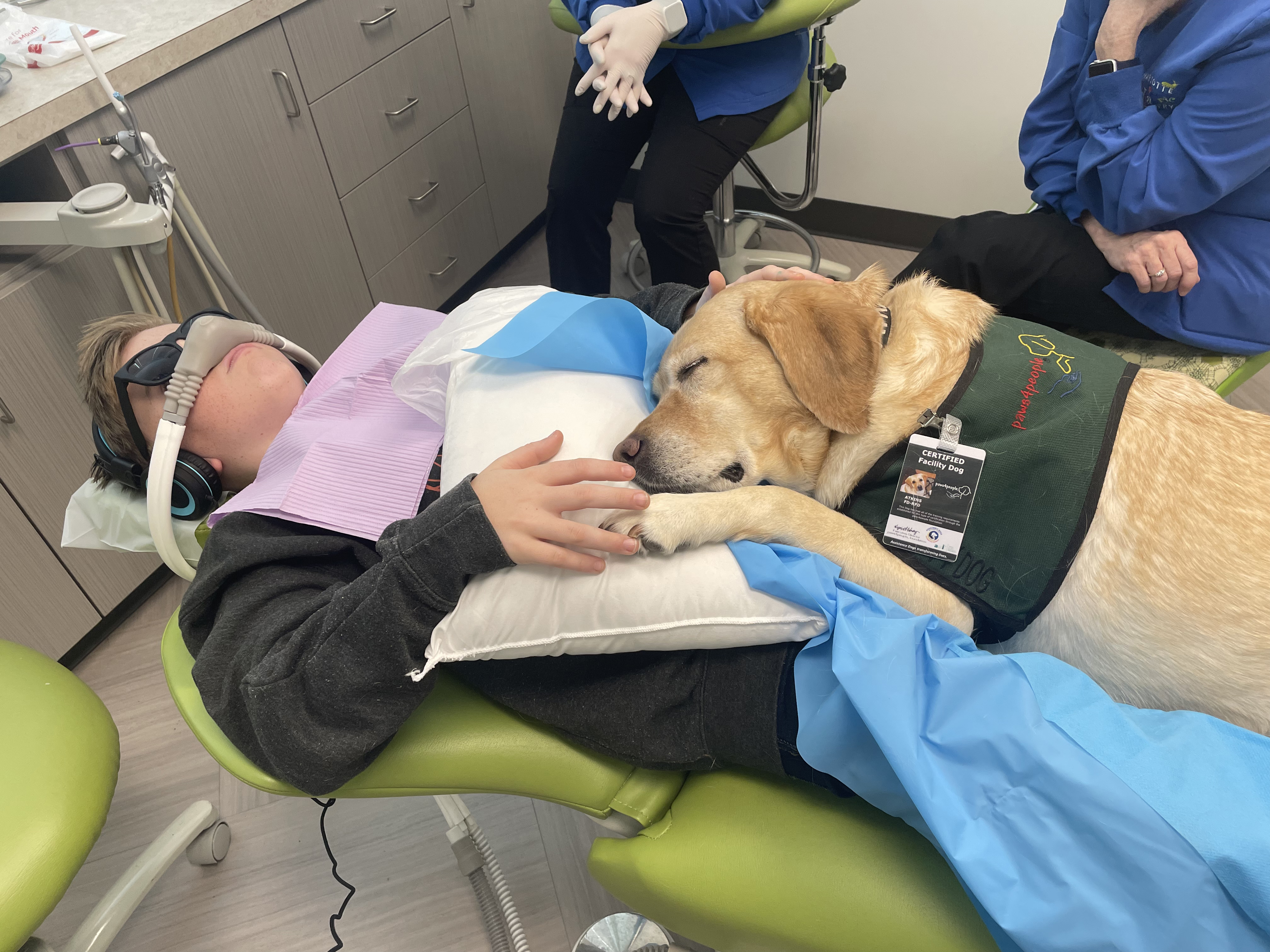 A Pet Day at the Dentist’s: North Carolina Regulates Pups in Dentistry