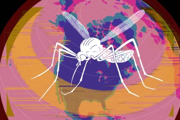Digital illustration of a large white mosquito in front of a colorful globe with a glitch effect and a golden band around the middle.