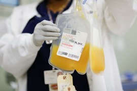 An person wearing gloves holds a bag of platelet donation at a public blood drive.
