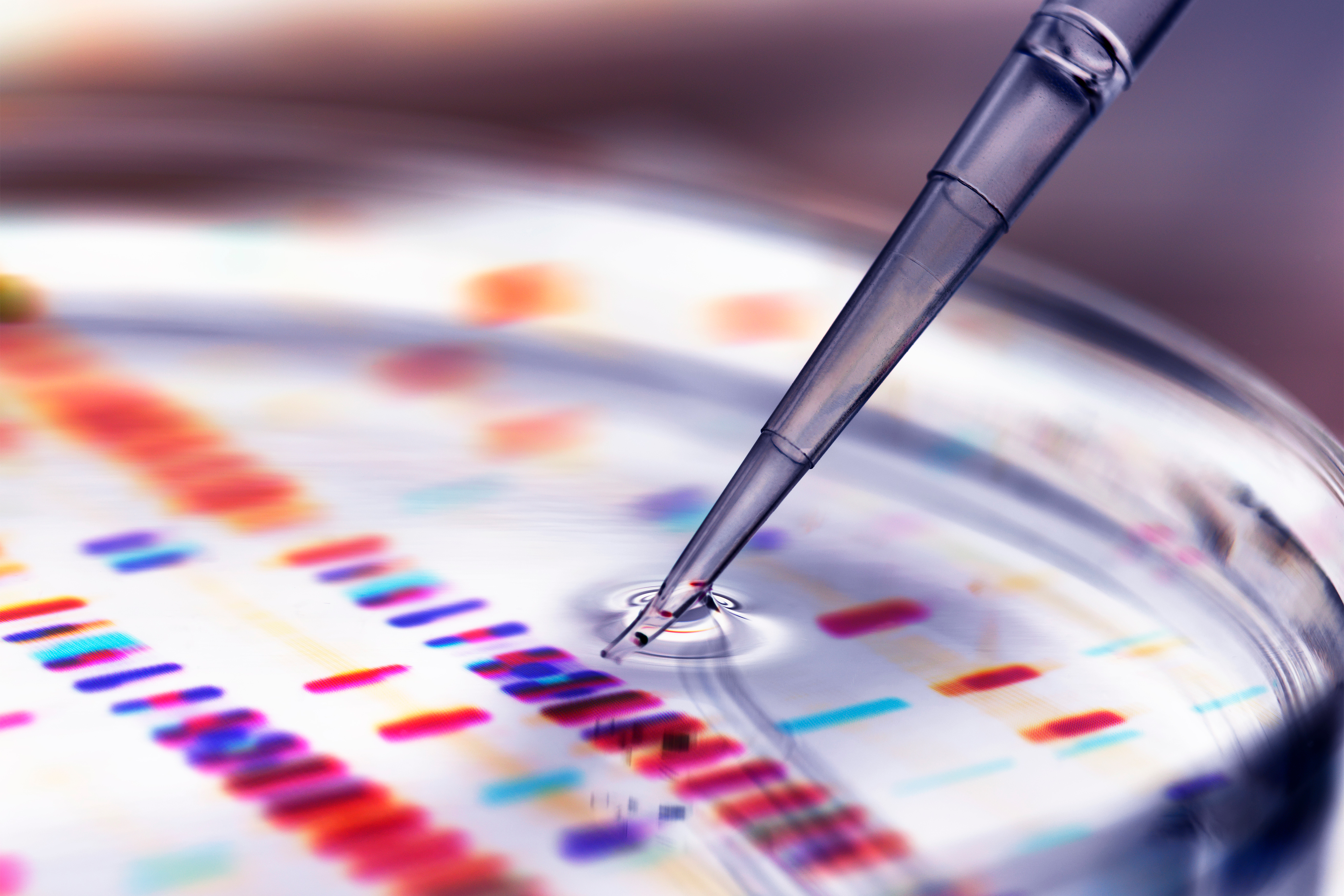 Addressing the ‘Trust Factor’: South Carolina Researchers Tackle Health Disparities Using Genetics