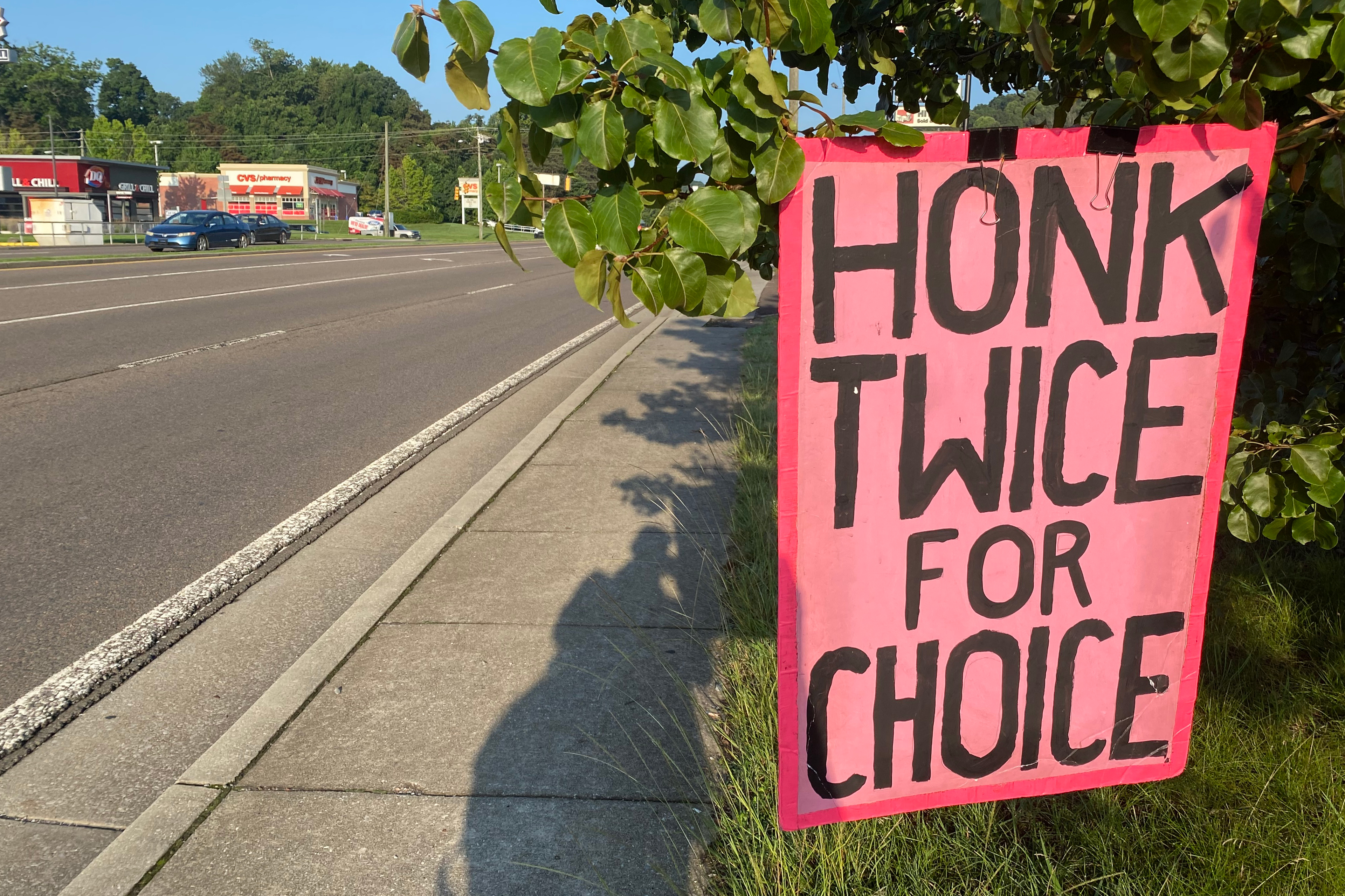A photo shows a pink sign hung from a tree that reads, "Honk twice for choice."