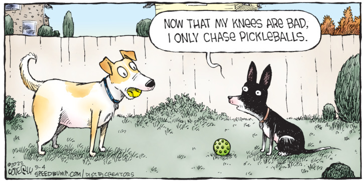 Old Dog, Different Ball' | Kaiser Health News